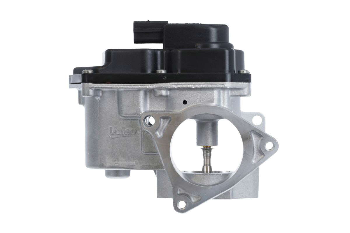 EGR VALVE_700424_02