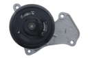 WATER PUMP_529540_02
