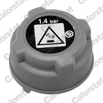 Bouchon de vase d'expansion (liquide de refroidissement)