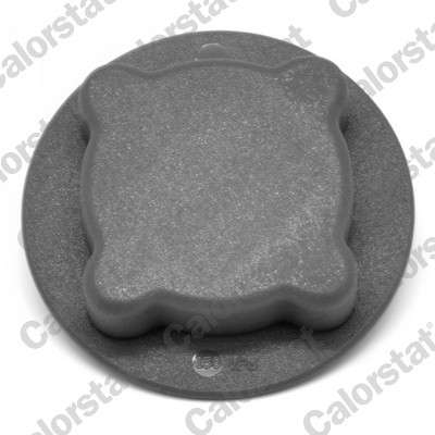 Bouchon de vase d'expansion (liquide de refroidissement)