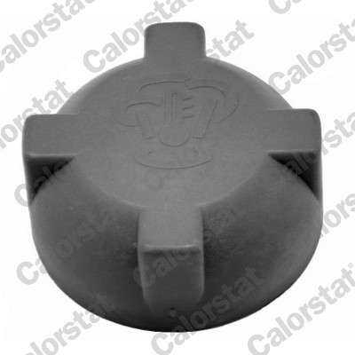 Bouchon de vase d'expansion (liquide de refroidissement)