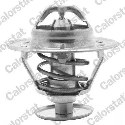 Thermostat d'eau
