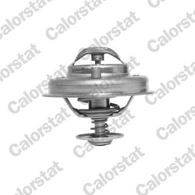 Thermostat d'eau