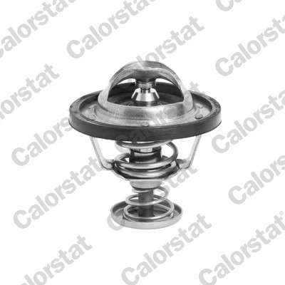 Thermostat d'eau