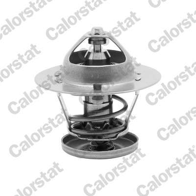 Thermostat d'eau