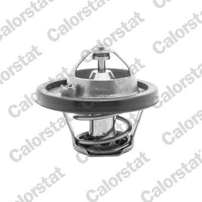 Thermostat d'eau