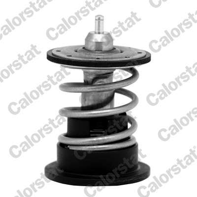 Thermostat d'eau