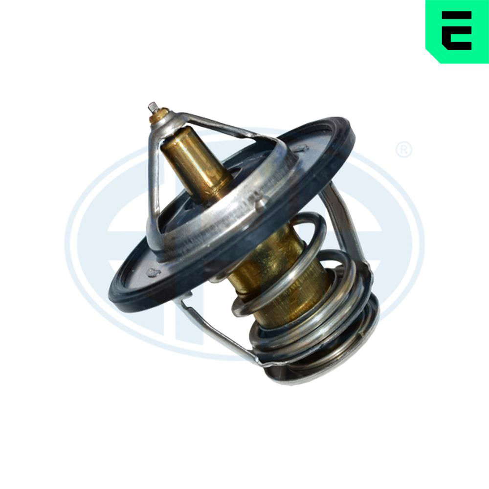 Thermostat d'eau