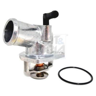 Thermostat d'eau