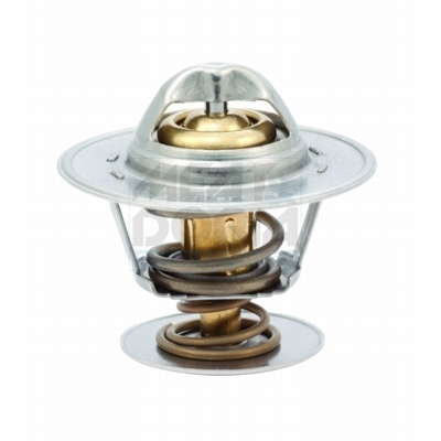 Thermostat d'eau