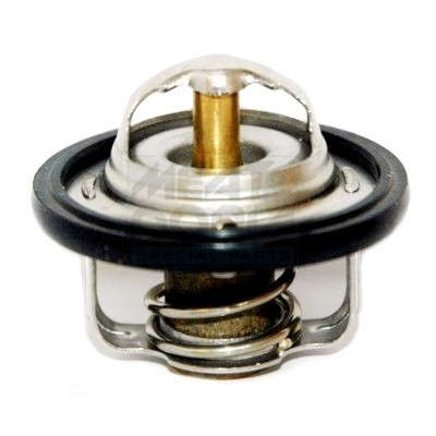 Thermostat d'eau