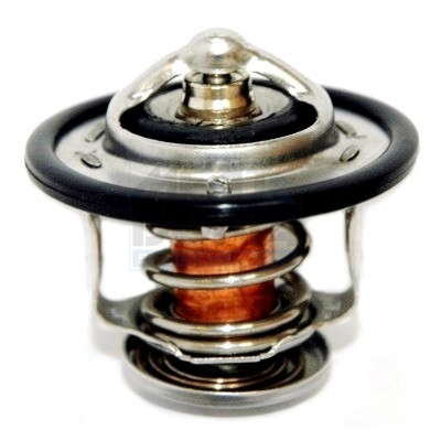 Thermostat d'eau