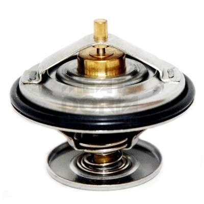 Thermostat d'eau