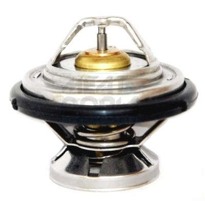 Thermostat d'eau