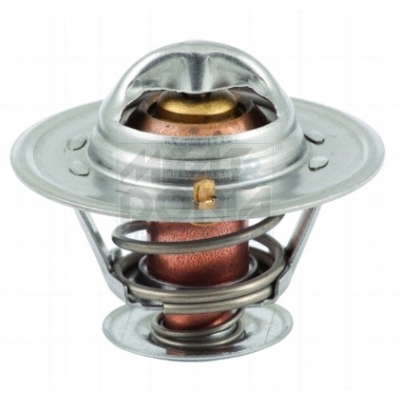 Thermostat d'eau