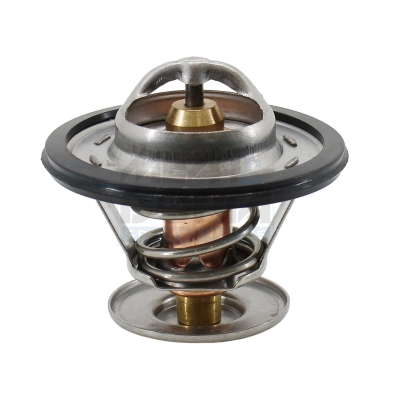 Thermostat d'eau