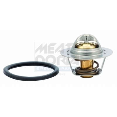 Thermostat d'eau
