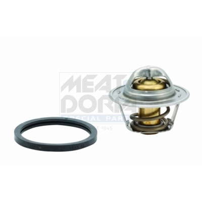 Thermostat d'eau
