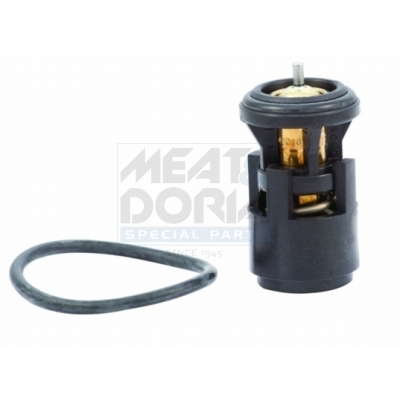 Thermostat d'eau