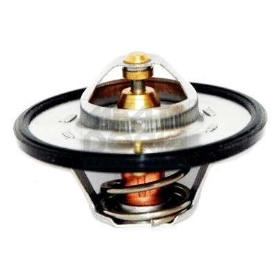 Thermostat d'eau
