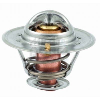 Thermostat d'eau