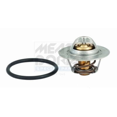 Thermostat d'eau