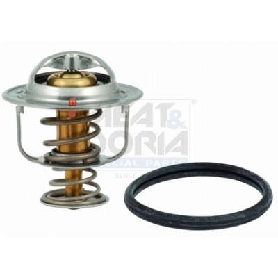 Thermostat d'eau