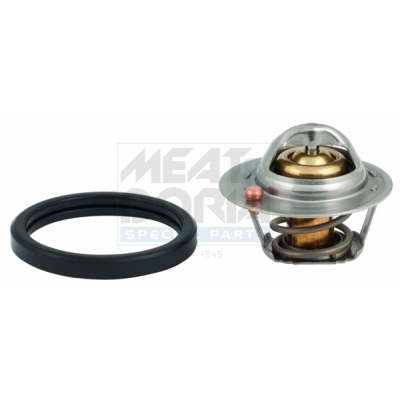 Thermostat d'eau