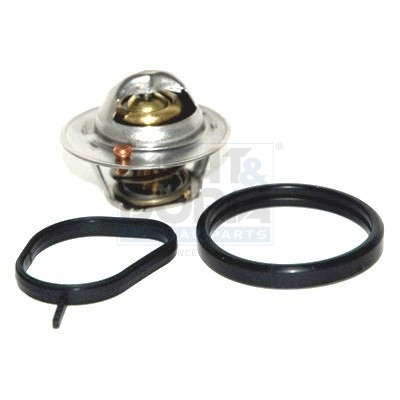 Thermostat d'eau