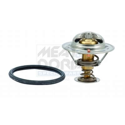 Thermostat d'eau