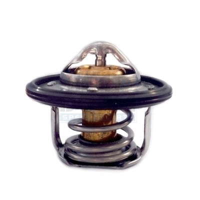Thermostat d'eau