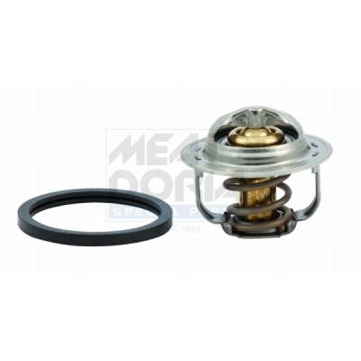 Thermostat d'eau