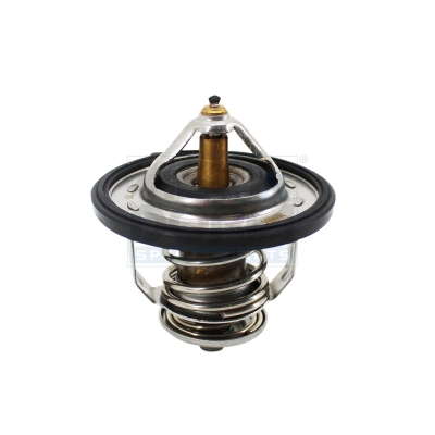 Thermostat d'eau