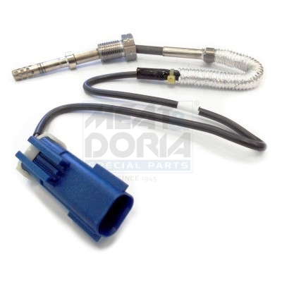Palpeur de température des gaz