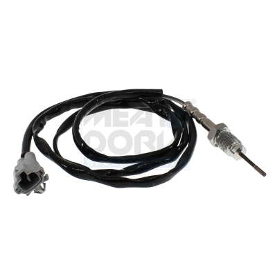 Palpeur de température des gaz