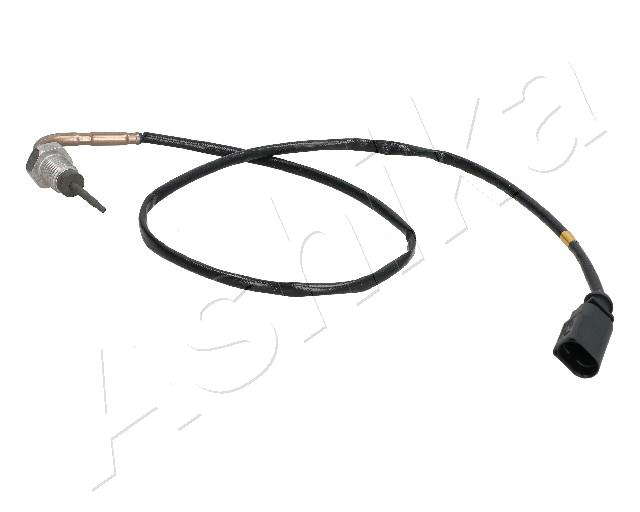 Palpeur de température des gaz