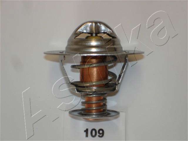 Thermostat d'eau