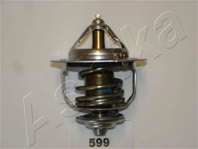 Thermostat d'eau