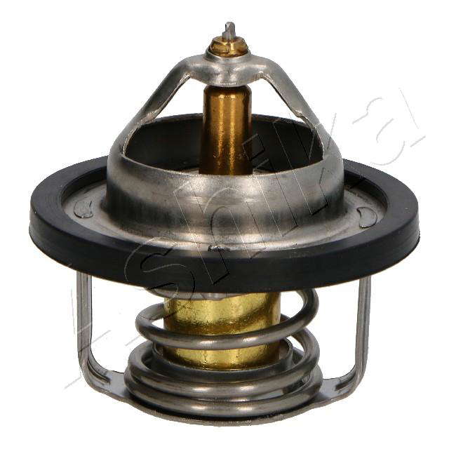 Thermostat d'eau