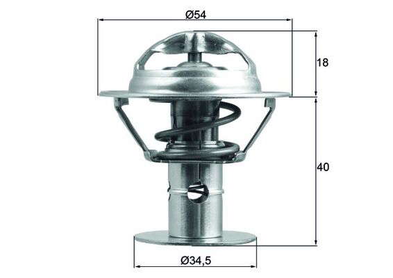 Thermostat d'eau