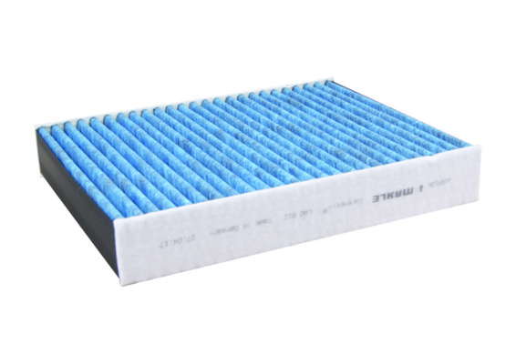 145035608
