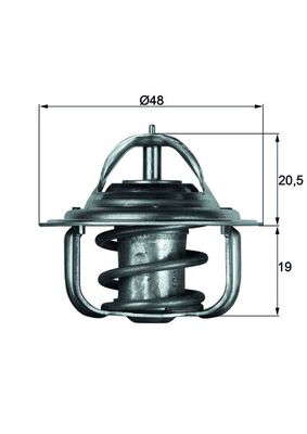 Thermostat d'eau