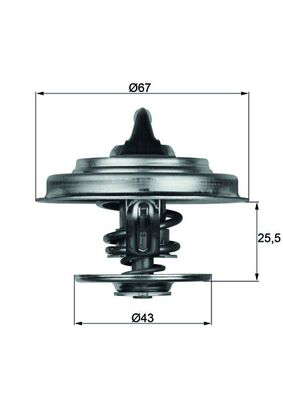 Thermostat d'eau