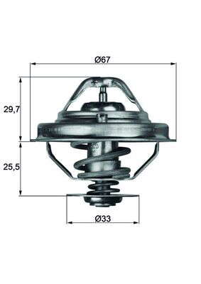 Thermostat d'eau