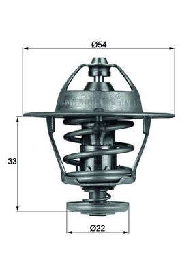 Thermostat d'eau