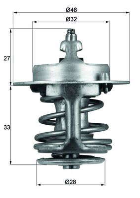 Thermostat d'eau