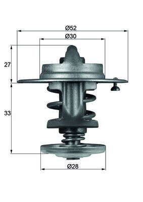 Thermostat d'eau