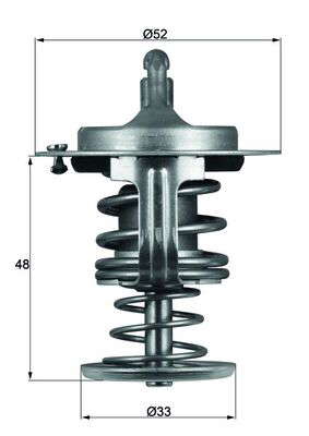 Thermostat d'eau