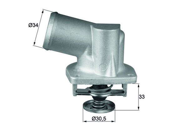 Thermostat d'eau