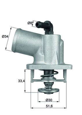 Thermostat d'eau